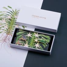 daparo 夜光仿琺琅胸針 - 達爾文的預測