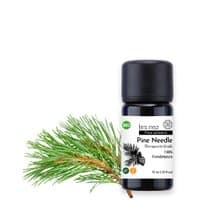 【Les nez 香鼻子】天然單方歐洲赤松(松針)純精油 10ML