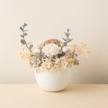 潔白月光小盆花 開幕花禮 新居落成 生日禮物 情人節 永生花