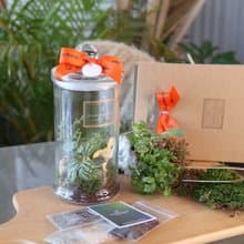 植物生態瓶DIY禮盒/兔兔公仔+教學影片