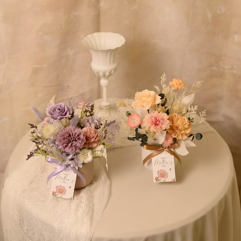 【氣質】母親節 永生康乃馨盆花 桌花  乾燥花 永生花 / 共3款