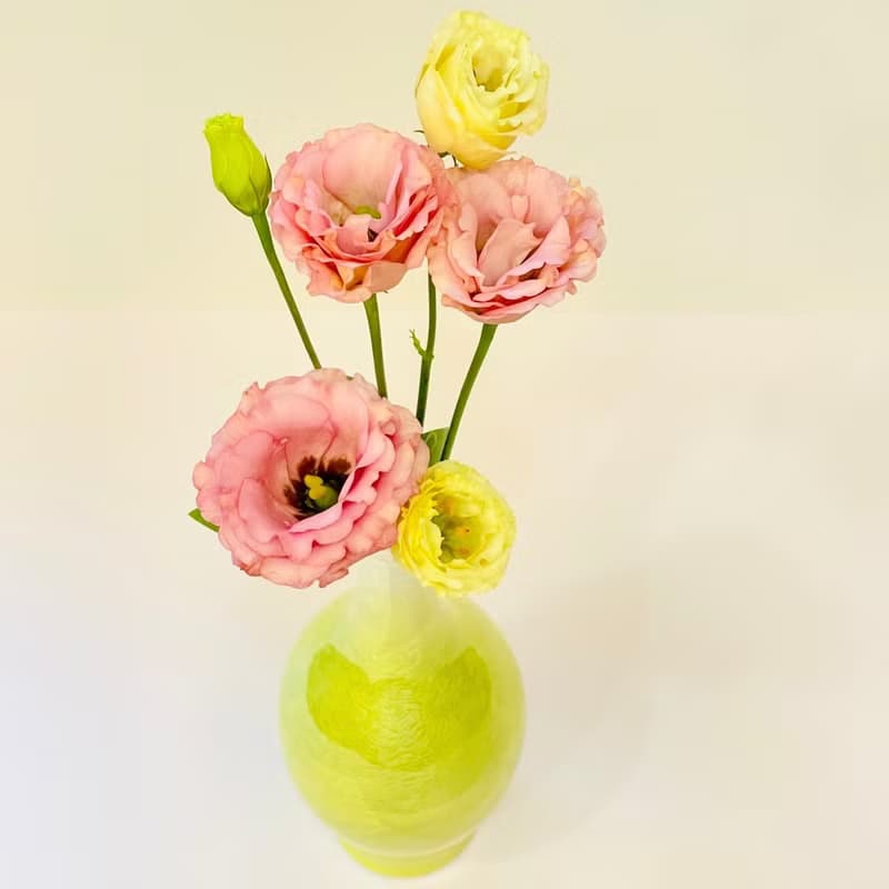 九谷燒-8號一輪生 釉裏銀彩(黃)