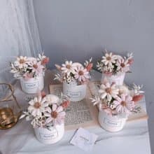 小雛菊盆花