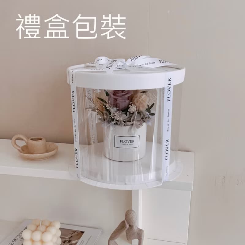 小雛菊盆花