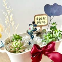 多肉組盆 多肉植物 日式 火影忍者 忍者 教師送禮 教師節 禮物