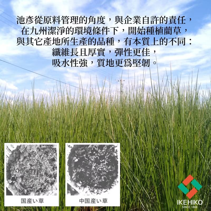 【送禮首選】藺草坐墊Mile 正圓形厚座墊 日本製造