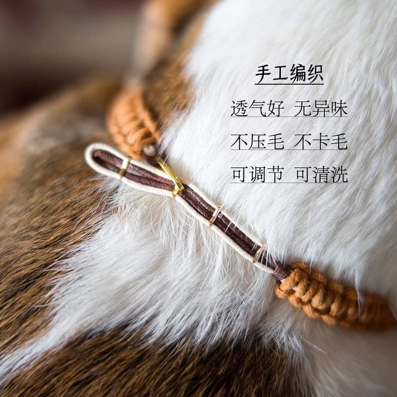 D—含刻字牌/ 寵物狗狗貓貓毛孩防走丟身份牌项圈