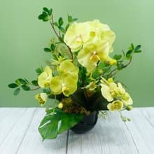 氣質綠蝴蝶蘭榕樹枝花藝/擬真花/開幕/喬遷/仿真花/佈置