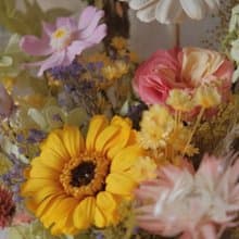 現貨免等 / 永生花束 永生花 不凋花 索拉花 乾燥花 法式 太陽菊