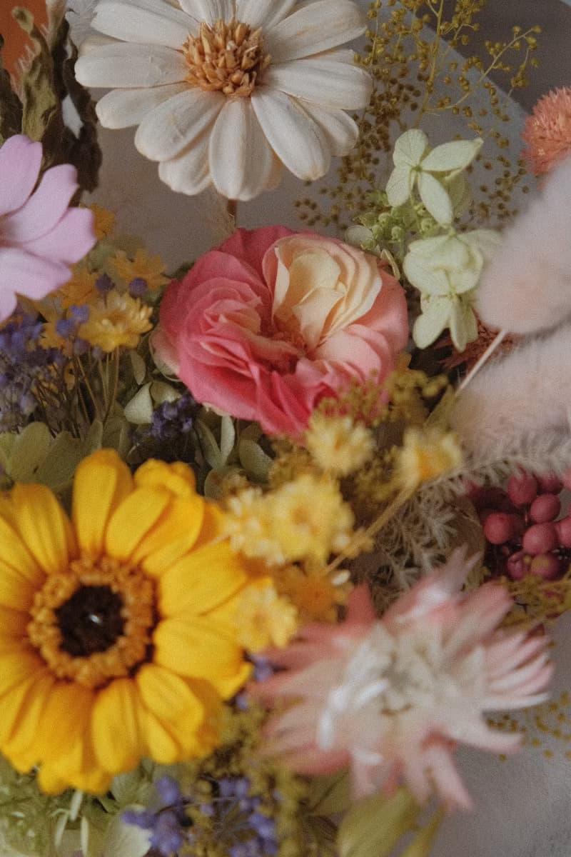 現貨免等 / 永生花束 永生花 不凋花 索拉花 乾燥花 法式 太陽菊