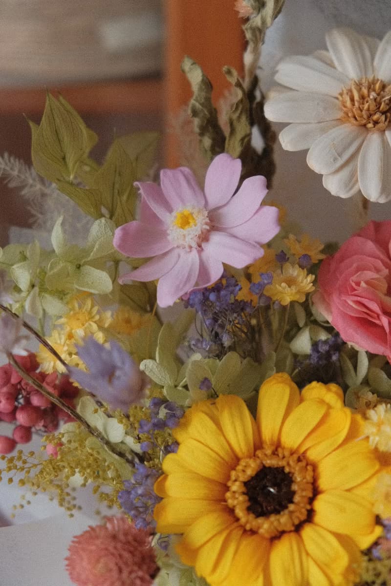 現貨免等 / 永生花束 永生花 不凋花 索拉花 乾燥花 法式 太陽菊