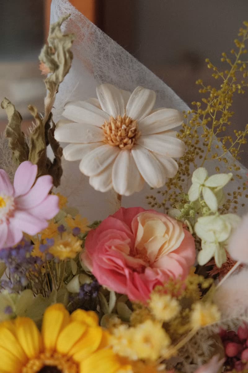 現貨免等 / 永生花束 永生花 不凋花 索拉花 乾燥花 法式 太陽菊