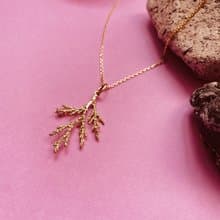 香草 Vanilla 植物項鍊