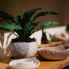 【手作陶盤 盆栽】生活藝術小容器 × 植栽盤器 半日閑-台北新北