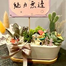 招財貓 台中多肉組盆 多肉植物 年年有餘 祝福 開幕慶祝 日式盆栽