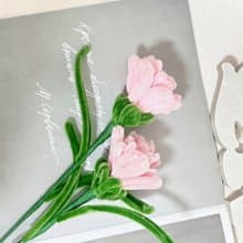【手工訂製】母親節花束 婦女節花束 / 康乃馨花束
