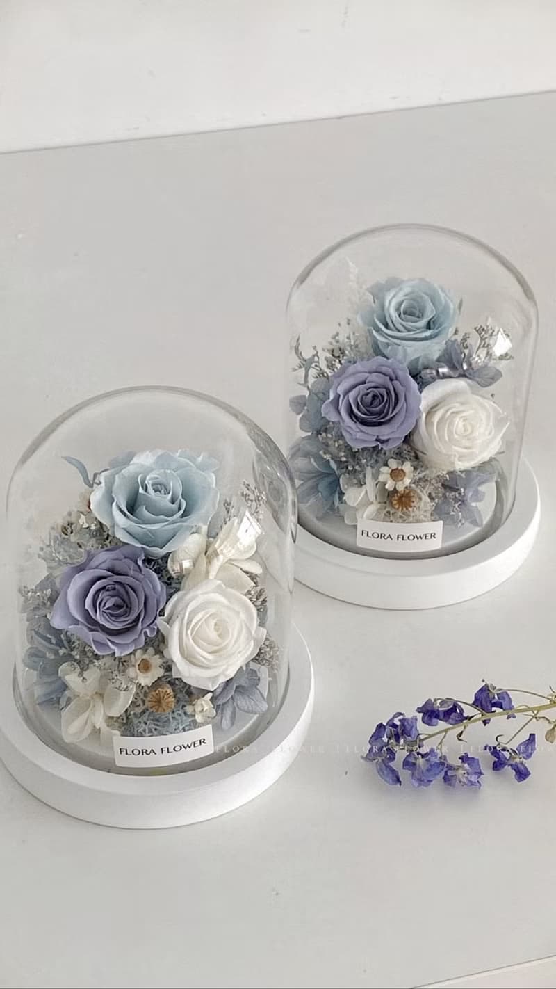 Flora Flower永生花迷你玻璃罩夜燈-愛麗絲藍