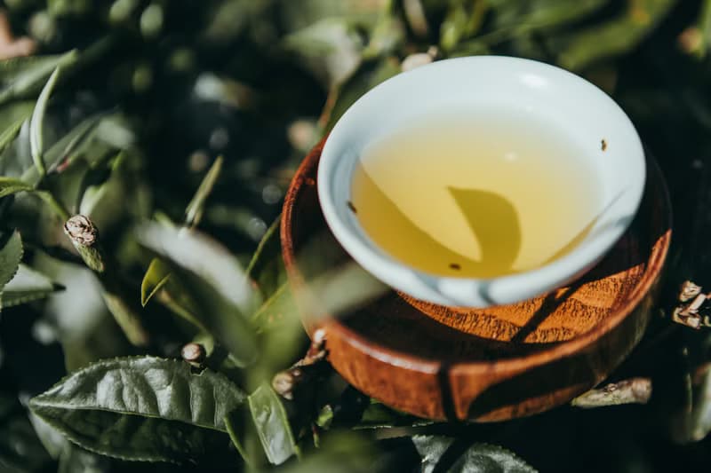 【自然農法茶葉】山嵐綠茶 日式清甜  手採無農藥無化肥