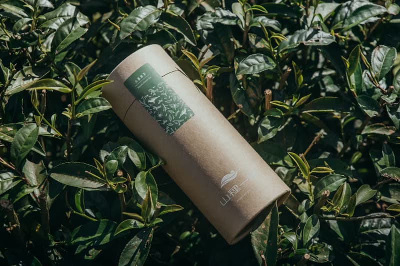 【自然農法茶葉】山嵐綠茶 日式清甜  手採無農藥無化肥