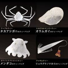 新・深海生物のティーバッグ　リュウグウノツカイ、メンダコ、オウムガイ、タカハシガニ