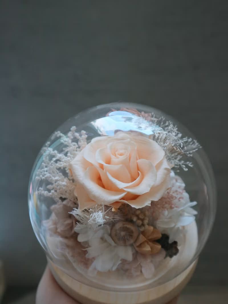 永生花玻璃罩水晶球 - 溫柔淡橙