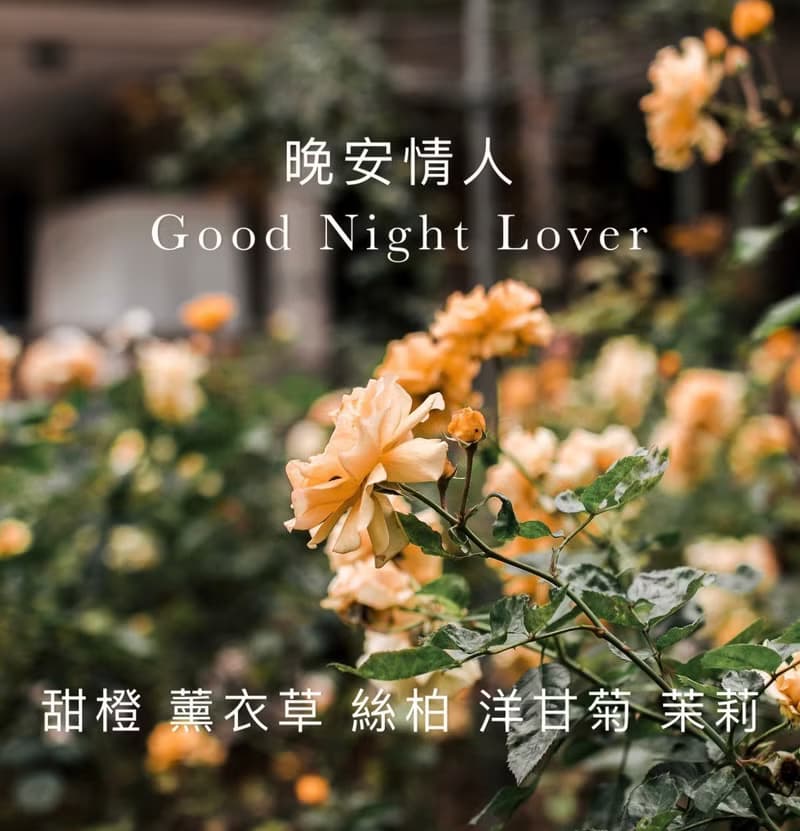 晚安情人 I TheHours香氛蠟燭