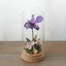 【DIY材料包】一朵祝福的蘭花玻璃座 / 附簡易說明書電子檔