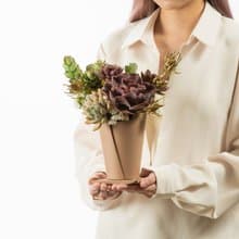 母親節禮物 - 冠軍媽媽 / 盆栽 植物 多肉 台灣設計 有肉