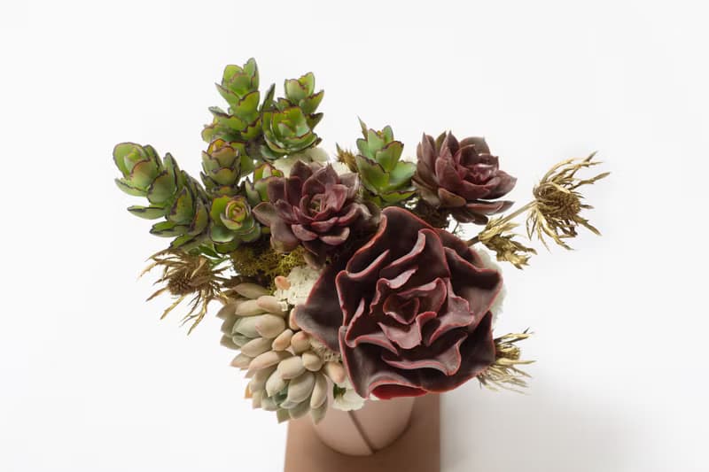 母親節禮物 - 冠軍媽媽 / 盆栽 植物 多肉 台灣設計 有肉