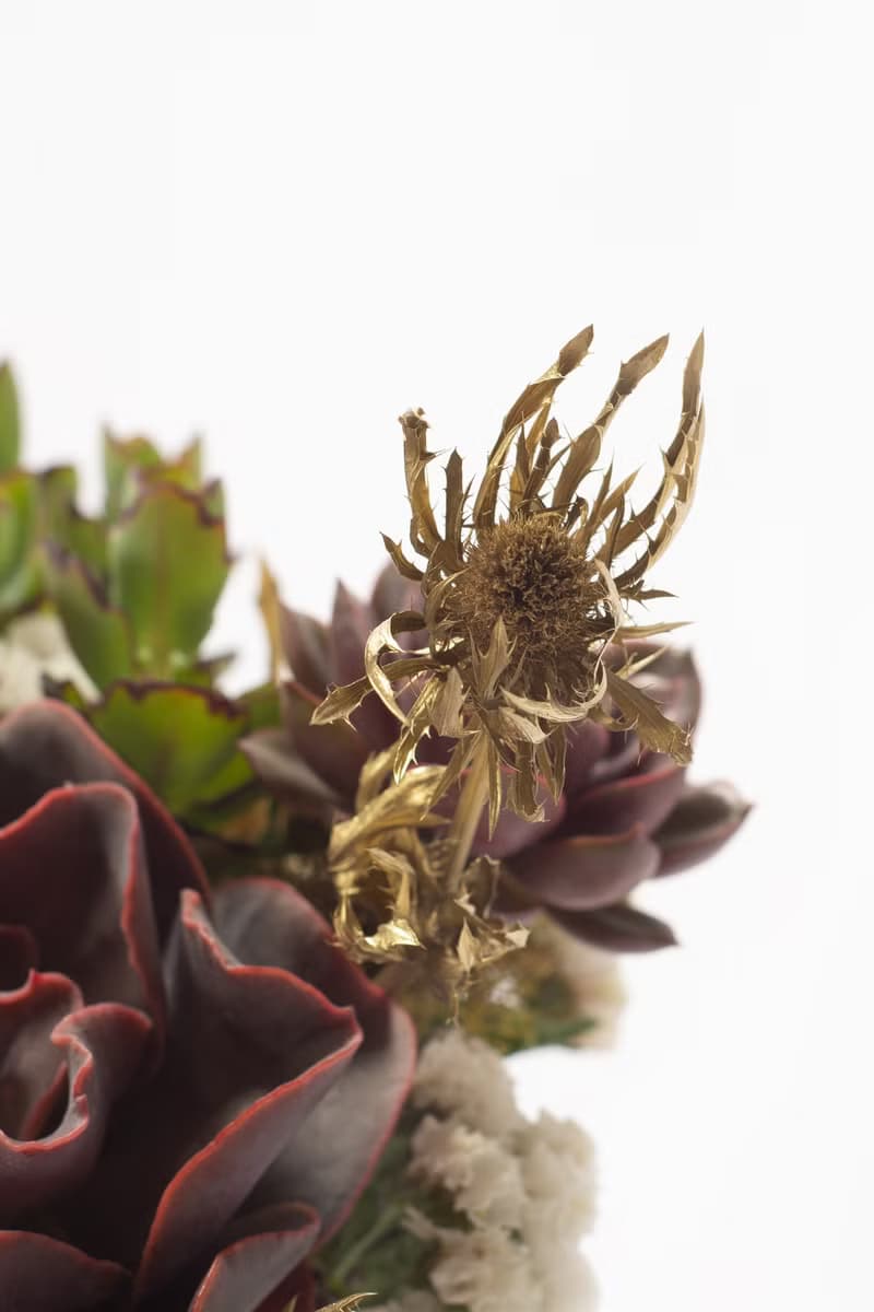 母親節禮物 - 冠軍媽媽 / 盆栽 植物 多肉 台灣設計 有肉