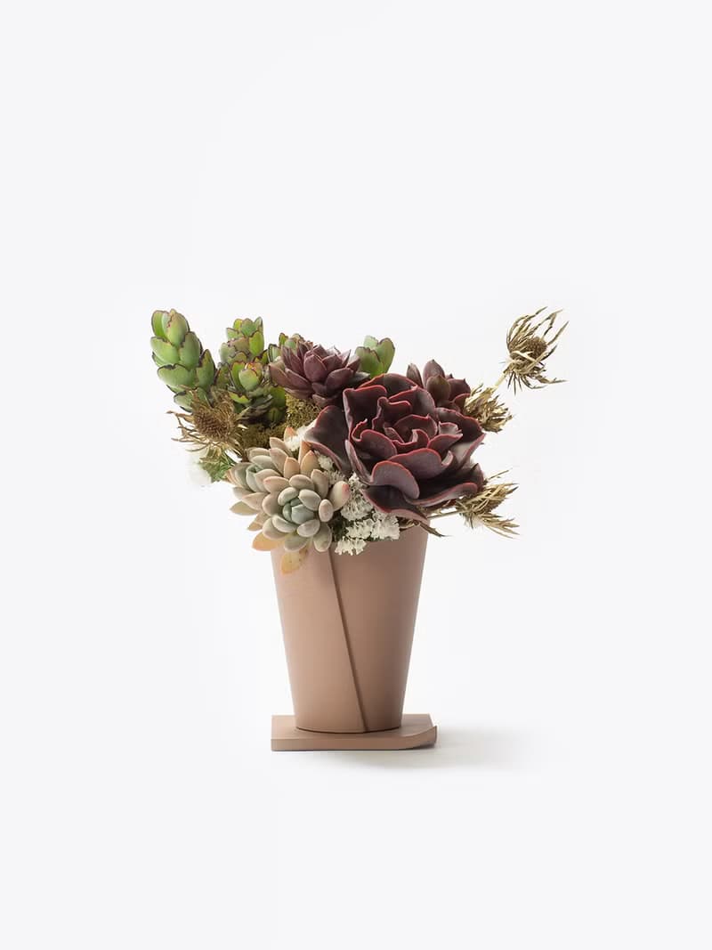 母親節禮物 - 冠軍媽媽 / 盆栽 植物 多肉 台灣設計 有肉