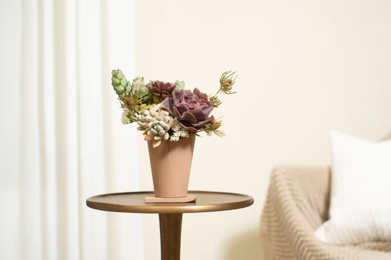 母親節禮物 - 冠軍媽媽 / 盆栽 植物 多肉 台灣設計 有肉