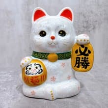 【勝願守護】日本清水燒招財貓 | 達摩 花結晶 白 必勝