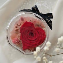 Miss。花謎 愛心永生玫瑰 香水瓶 花盒