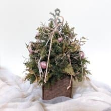 不凋雪松聖誕樹盆栽 桌上花藝擺件附包裝禮盒