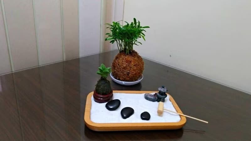 DIY手作材料包 居家幸福苔球 苔玉(含教學電子檔)
