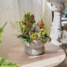 守望者 貓頭鷹。紫水晶不用澆水盆栽 永生葉材