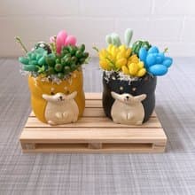 【仿真黏土多肉植物組盆】黑黃柴犬