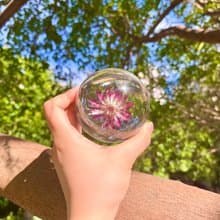 星芹環氧樹脂水晶球/植物標本紀念日禮物