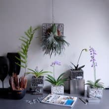 可重複裝填蛇籠盆 M Size