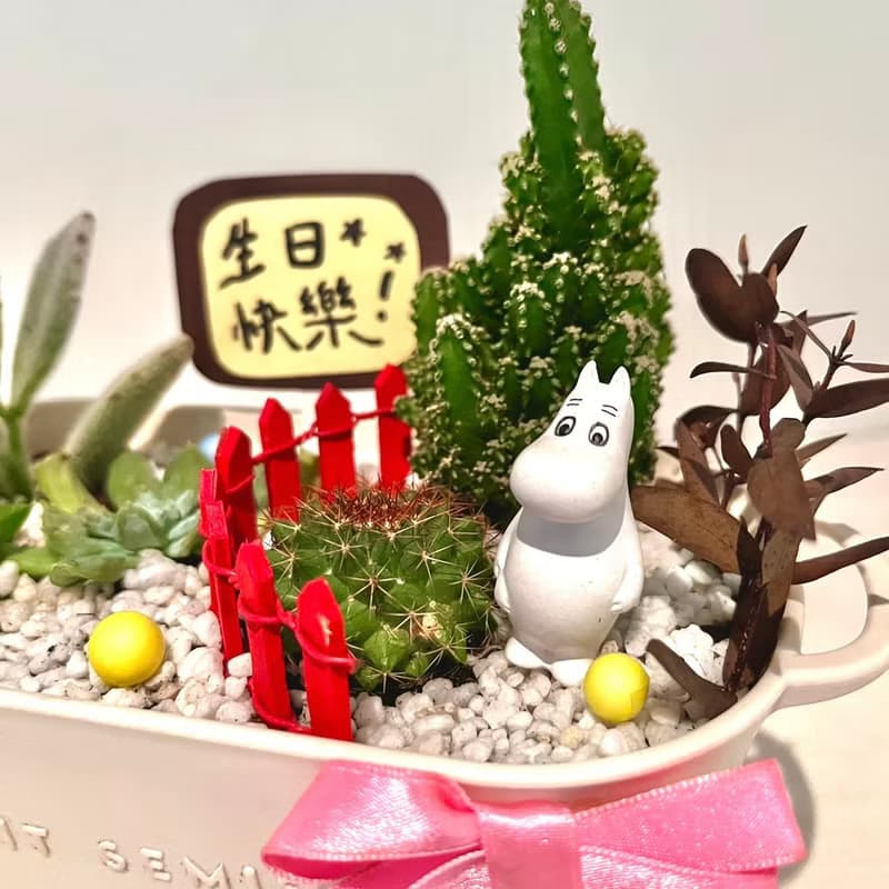 嚕嚕米Moomins 姆明 多肉組盆 微景觀盆栽 多肉盆栽 送禮 Muumi