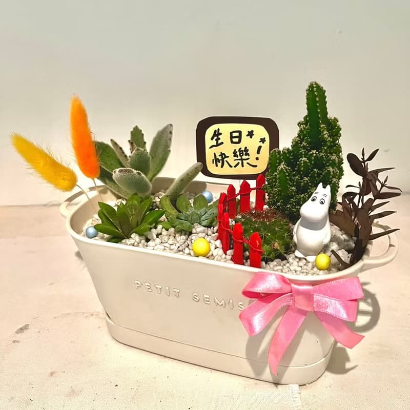 嚕嚕米Moomins 姆明 多肉組盆 微景觀盆栽 多肉盆栽 送禮 Muumi