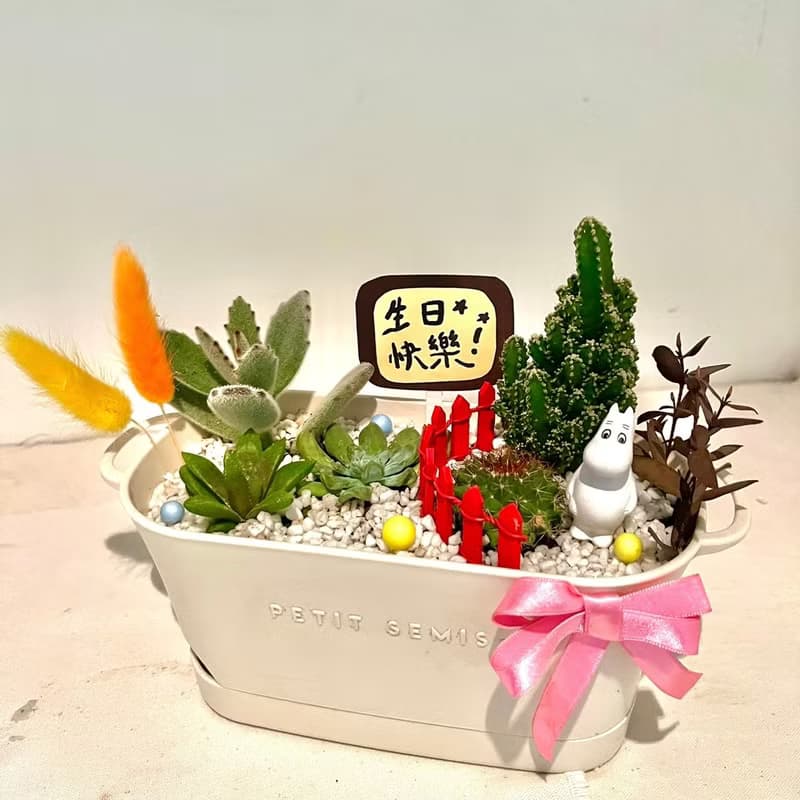 嚕嚕米Moomins 姆明 多肉組盆 微景觀盆栽 多肉盆栽 送禮 Muumi