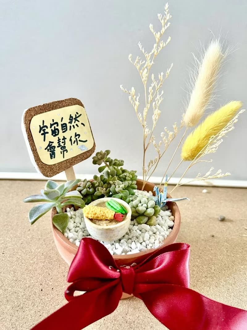 台中 限量多肉組盆 多肉植物 日式枯山水微景觀 炸蝦烏龍麵 慶祝