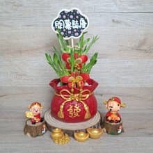 喜氣紅福袋 開運竹 萬年青 開幕送禮 入厝 喬遷 升遷 組合禮盆