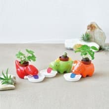 Green Zaurus 恐龍造型自動吸水種植組
