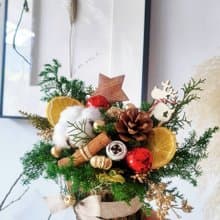 海藏設計│冬日之森。永生原木聖誕盆花 聖誕禮盒 交換禮物