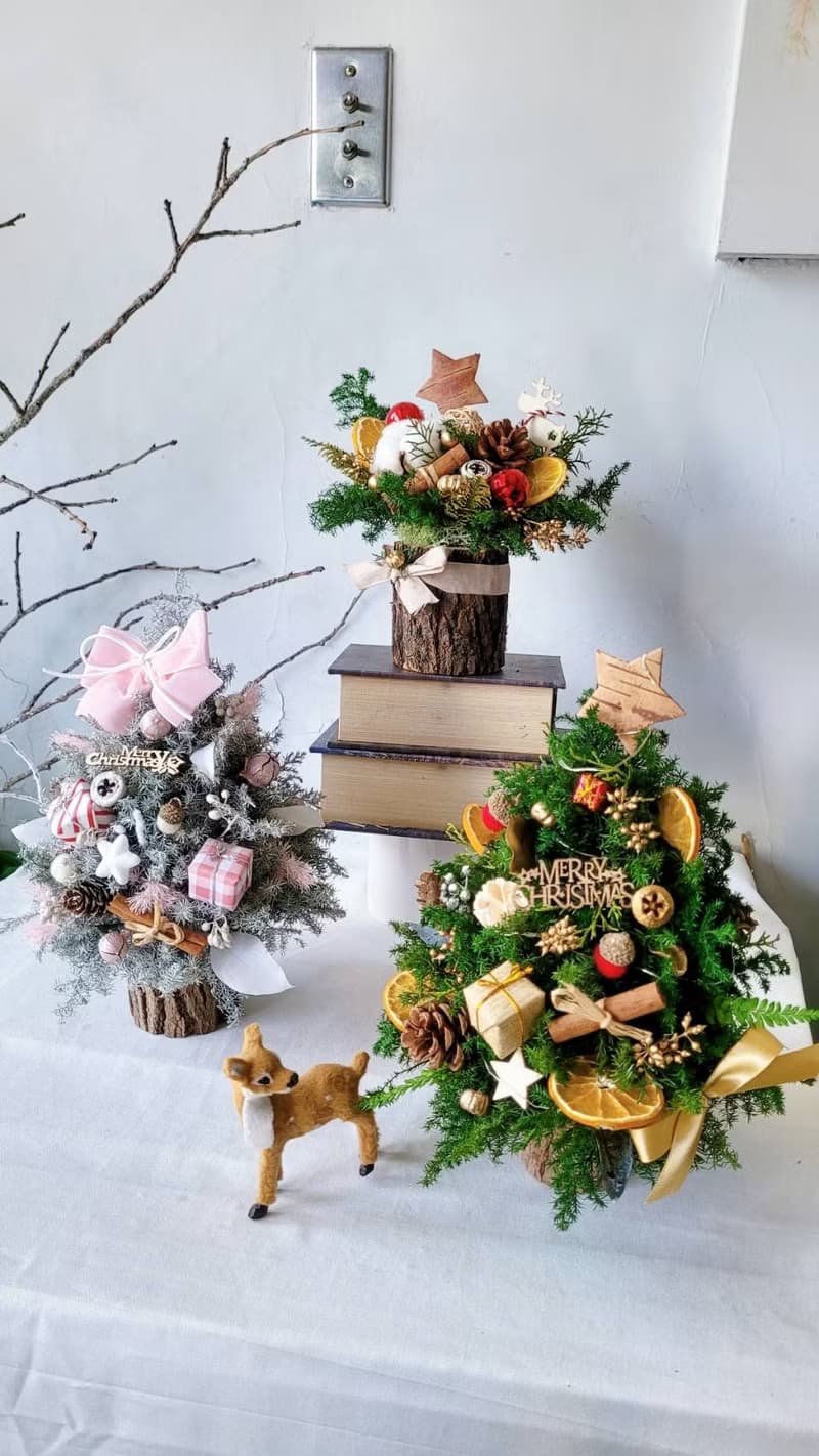 海藏設計│冬日之森。永生原木聖誕盆花 聖誕禮盒 交換禮物