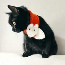 狐狸围巾  宠物项圈 fox scarf for pets collar for cat neckwear for pet scarf for dog
