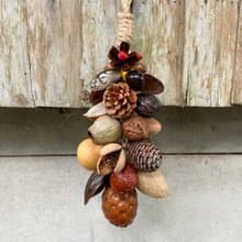 植物掛飾-蘿菲亞椰子/乾燥果實